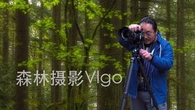 怎么判断养殖鳝鱼和野生鳝鱼？鳝鱼是越大越好吗？