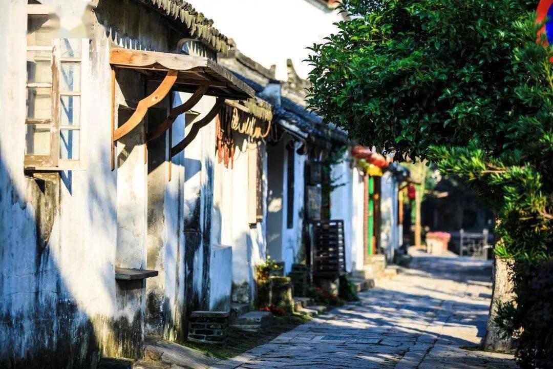 从1-2到3-2!亚洲杯史诗逆转!假球队阴谋得逞,4场6球神锋成罪人